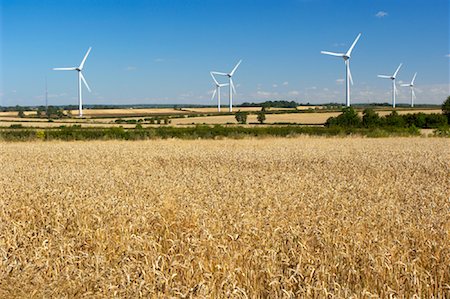 simsearch:600-08169205,k - Wind Farm and Wheat Field Stock Photo - Rights-Managed, Code: 700-01586082