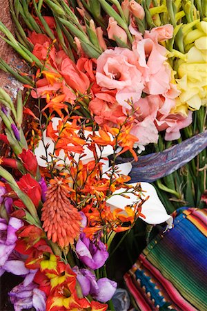 simsearch:700-01586960,k - Fresh Flowers at Market, Guatemala Stock Photo - Rights-Managed, Code: 700-01586979