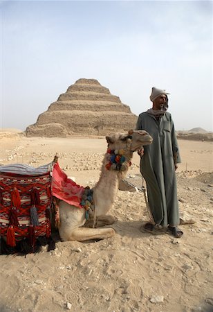 Man and Camel, Pyramid of Djoser, Saqqara, Egypt Foto de stock - Con derechos protegidos, Código: 700-01587301