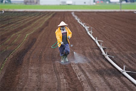 farmer and equipment - Spraying Pesticides on Farm Stock Photo - Rights-Managed, Code: 700-01606926