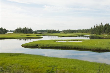 Marsh in Cape Sable Island, Nova Scotia, Canada Stock Photo - Rights-Managed, Code: 700-01614466