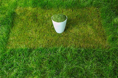 simsearch:700-01633321,k - Grass Clippings Stock Photo - Rights-Managed, Code: 700-01633302