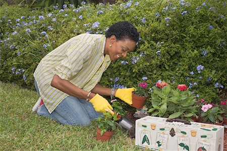 Woman Gardening Stock Photo - Rights-Managed, Code: 700-01646137