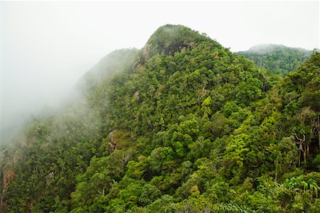 rain forest in malaysia - Mount Machincang, Langkawi Island, Malaysia Stock Photo - Rights-Managed, Code: 700-01716718