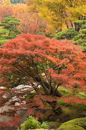 Imperial Palace East Gardens, Tokyo, Japan Foto de stock - Con derechos protegidos, Código: 700-01788095