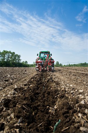 Planting Grape Vines by Tractor, Prince Edward County, Ontario Stock Photo - Rights-Managed, Code: 700-01828706