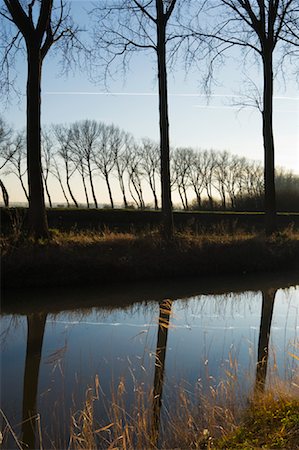 Reflection of Trees in Water, Damme, West Flanders, Belgium Stock Photo - Rights-Managed, Code: 700-01838635