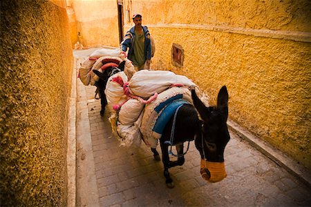 fes, morocco - Man with Donkeys in the Medina of Fez, Morocco Stock Photo - Rights-Managed, Code: 700-01879902