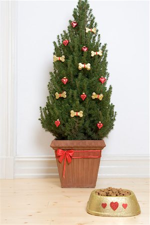 Dog Bowl by Christmas Tree Foto de stock - Con derechos protegidos, Código: 700-01954465