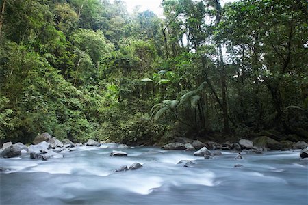 rainforest and water scenes - La Fortuna Waterfall, Alajuela Province, Costa Rica Stock Photo - Rights-Managed, Code: 700-01955536