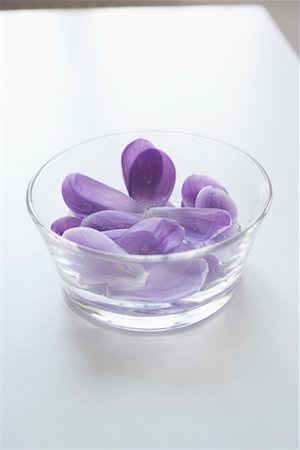 Crocus Petals Stock Photo - Rights-Managed, Code: 700-02038194