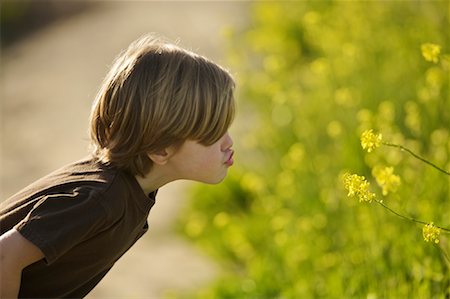 simsearch:700-02046160,k - Boy Smelling Flowers, Costa Mesa, Newport Beach, Orange County, California, USA Foto de stock - Con derechos protegidos, Código: 700-02046153