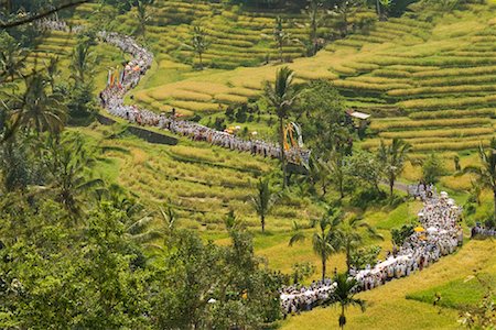 Procession through Rice Fields, Bali, Indonesia Stock Photo - Rights-Managed, Code: 700-02046365