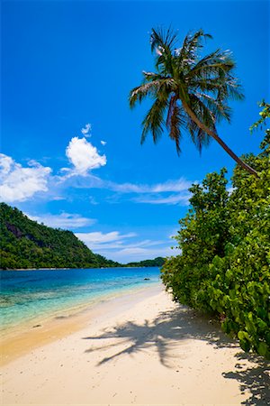 Shoreline, Bungus Bay, Sumatra, Indonesia Stock Photo - Rights-Managed, Code: 700-02046611