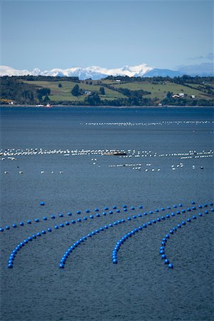 Fish Farming off Chiloe Island, Chile Stock Photo - Rights-Managed, Code: 700-02046902