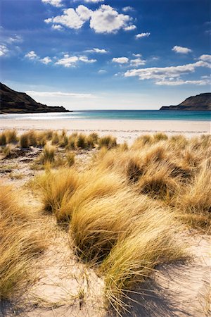 simsearch:700-03508663,k - Calgary Bay, Argyll and Bute, Isle of Mull, Inner Hebrides, Scotland Foto de stock - Con derechos protegidos, Código: 700-02071113