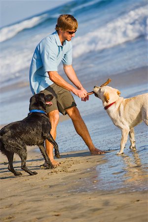 dog stick - Man Playing With Dogs on the Beach, Huntington Beach, Orange County, California, USA Stock Photo - Rights-Managed, Code: 700-02081956