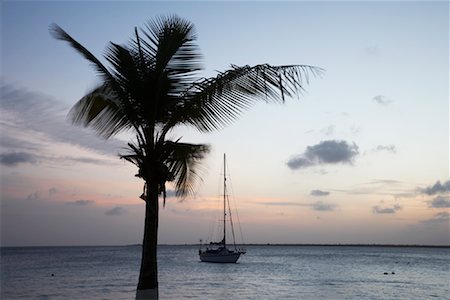 simsearch:700-02669459,k - Palm Tree and Sailboat at Sunset, Kralendijk, Bonaire, Netherlands Antilles Stock Photo - Rights-Managed, Code: 700-02082054