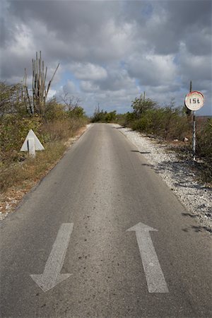 simsearch:700-02082042,k - Arrows on Road, Karpata, Bonaire, Netherlands Antilles Stock Photo - Rights-Managed, Code: 700-02082053