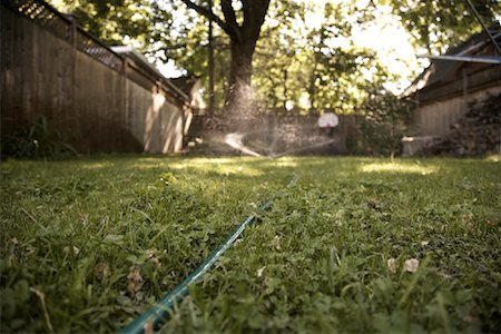Sprinkler in Backyard Stock Photo - Rights-Managed, Code: 700-02129140