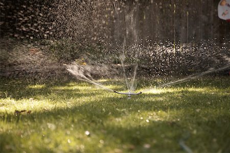 Sprinkler in Backyard Stock Photo - Rights-Managed, Code: 700-02129141