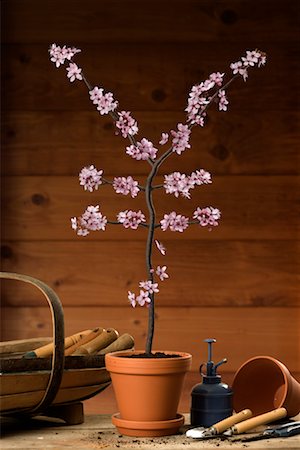 economy tool - Potted Plant Blossoming into Yen Sign Stock Photo - Rights-Managed, Code: 700-02121571