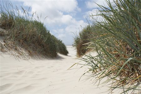 sand beach grass - St Peter-Ording, Nordfriesland, Schleswig-Holstein, Germany Stock Photo - Rights-Managed, Code: 700-02130478