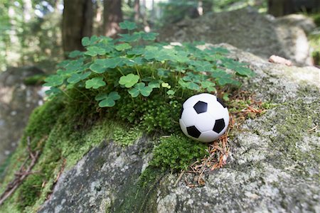 Miniature Soccer Ball by Clover, Harz National Park, Saxony-Anhalt, Germany Stock Photo - Rights-Managed, Code: 700-02130505
