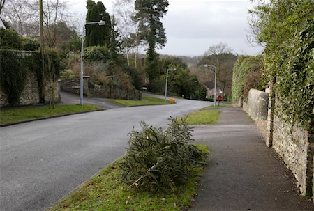 street curb - Christmas Trees on Side of Road Stock Photo - Rights-Managed, Code: 700-02130839