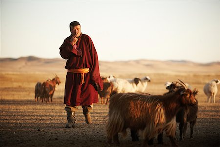 shepherd (male) - Shepherd with Goats, Khustain Nuruu National Park, Mongolia Stock Photo - Rights-Managed, Code: 700-02156733