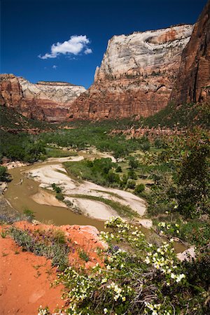 Emerald Pools Trail, Zion National Park, Utah, USA Stock Photo - Rights-Managed, Code: 700-02175796