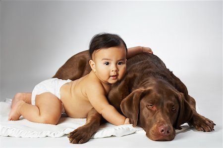 Baby and Dog Stock Photo - Rights-Managed, Code: 700-02194071