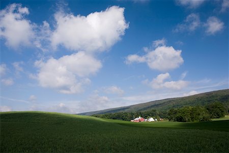 simsearch:700-02235669,k - Farm in Central Pennsylvania, USA Stock Photo - Rights-Managed, Code: 700-02235682