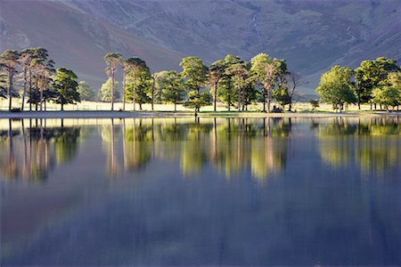 simsearch:700-01236711,k - Scots Pine Trees Reflected in Lake at Dawn, Buttermere, Lake District, Cumbria, England Stock Photo - Rights-Managed, Code: 700-02244791