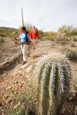 People Hiking in Desert, Saguaro National Park, Arizona, USA Foto de stock - Con derechos protegidos, Código: 700-02245384