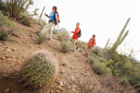 People Hiking in Desert, Saguaro National Park, Arizona, USA Foto de stock - Con derechos protegidos, Código: 700-02245385
