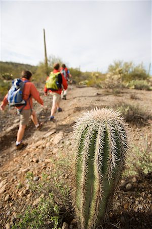 People Hiking in Desert, Saguaro National Park, Arizona, USA Stock Photo - Rights-Managed, Code: 700-02245383