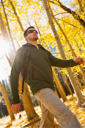 Man Hiking through Aspen Grove, Yosemite National Park, California, USA Stock Photo - Rights-Managed, Code: 700-02245532