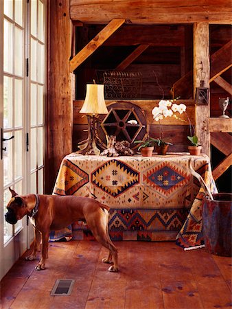 Dog Looking out Window of Renovated Barn, Caledon, Ontario, Canada Stock Photo - Rights-Managed, Code: 700-02245687