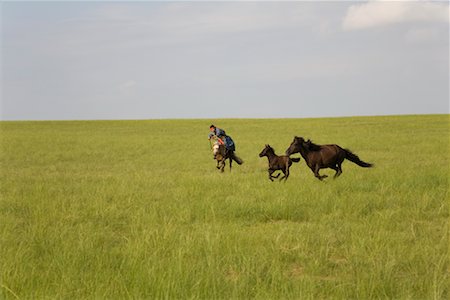 simsearch:700-02263895,k - Cavalier chassant les chevaux, la Mongolie intérieure, Chine Photographie de stock - Rights-Managed, Code: 700-02264825