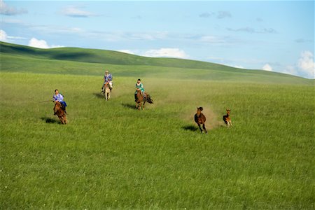 simsearch:700-02263889,k - Horsemen Rounding Up Horses, Inner Mongolia, China Stock Photo - Rights-Managed, Code: 700-02264834