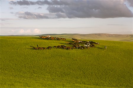 simsearch:700-02263889,k - Horsemen Herding Horses, Inner Mongolia, China Stock Photo - Rights-Managed, Code: 700-02264841