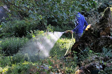 Man Watering Garden, Paris, France Foto de stock - Con derechos protegidos, Código: 700-02265201