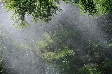 simsearch:700-02265197,k - Sprinkler Watering Garden, Paris, France Stock Photo - Rights-Managed, Code: 700-02265202