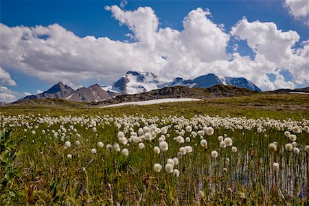 Banff National Park, Alberta, Canada Stock Photo - Rights-Managed, Code: 700-02260094