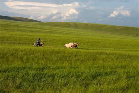 simsearch:700-02263895,k - Cavalier en arrondissant les chevaux, la Mongolie intérieure, Chine Photographie de stock - Rights-Managed, Code: 700-02263884