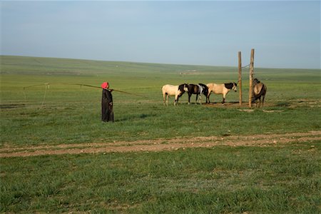simsearch:700-02263895,k - Femme tendant à chevaux, la Mongolie intérieure, Chine Photographie de stock - Rights-Managed, Code: 700-02288306