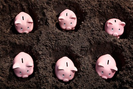 Piggy Banks Planted in Dirt Stock Photo - Rights-Managed, Code: 700-02289307