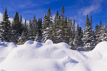 Snow-Covered Forest, Gaspasie, Quebec, Canada Stock Photo - Rights-Managed, Code: 700-02289748