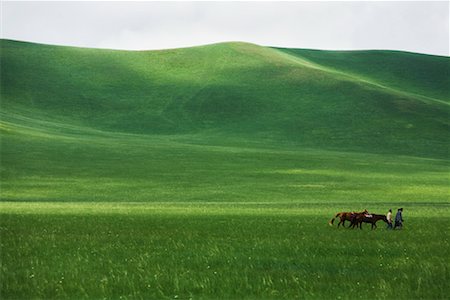People Leading Horses through Grassland, Inner Mongolia, China Stock Photo - Rights-Managed, Code: 700-02289785